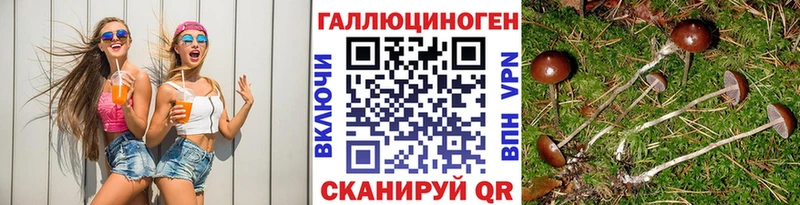 Псилоцибиновые грибы Magic Shrooms  Пойковский 